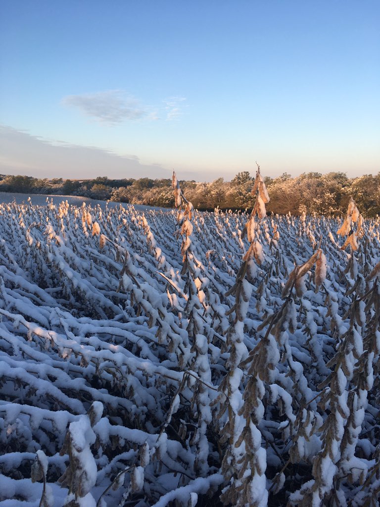 It's a little early for this!  This years weather has been crazy.