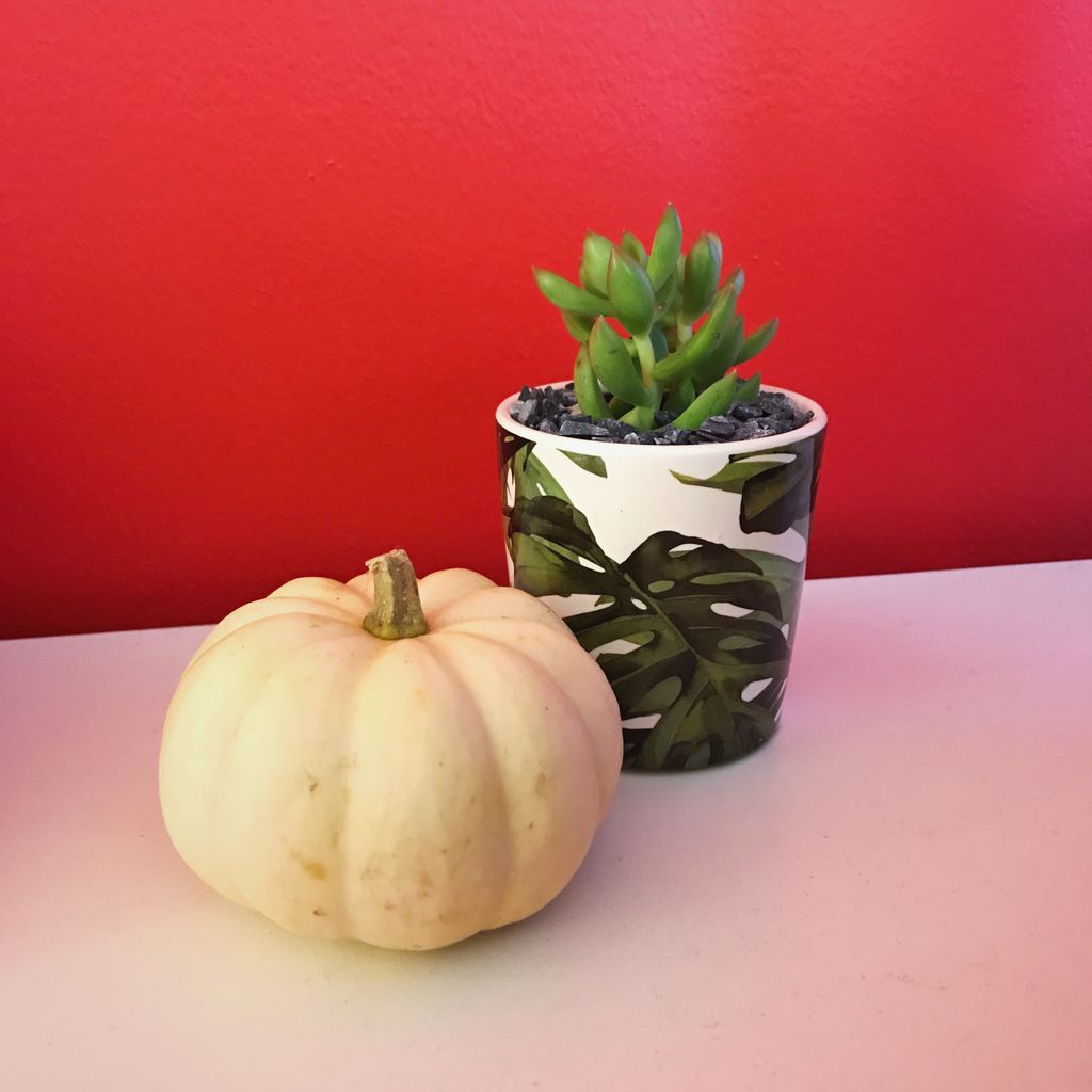 zzhousedesign's tweet photo. We love these cozy fall mornings in the office but we’re missing warm and sunny summer days too 🎃🌞 https://t.co/h5FfersjgL