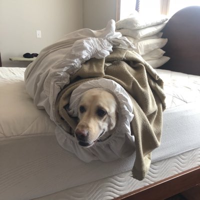 DreamingJess7's tweet photo. #NewProfilePic https://t.co/zxrMcrnvmf