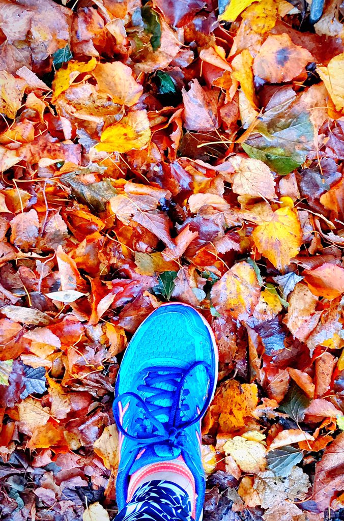 ParadiseDivided's tweet photo. Nothing inside me wanted to run today, but I did it anyway 👊🏻💥 Very glad I did! Thanks @bennettrun for the Running on Empty with Headspace guided run for getting me through it! #ukrunchat #getsomeheadspace #runevenifyoudontwantto @NikeRunning https://t.co/kS0ylGqb4B