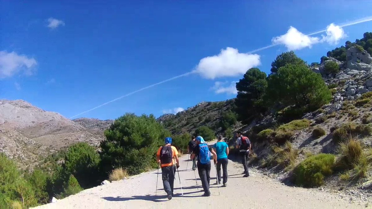 pachilofeos's tweet photo. Este puente nuestros pachilofeos Alfred, Coki, Fran, Juanlu, MJ, Nico, Paco y nuestro invitado Edu subieron con 2 de los 8 #TechosdeAndalucía: #PicoMágina, Jaén y #ElChullo, Almería https://t.co/4RdpfDX4wc ¡Enhorabuena por vuestro esfuerzo! #CimasdeAndalucía #Andalucimas https://t.co/XkRvYwx4Nl