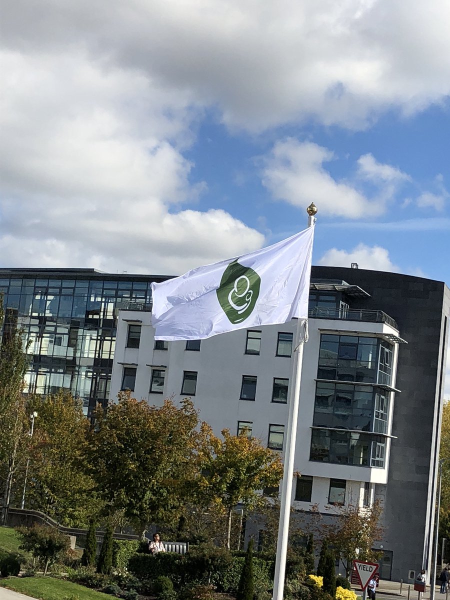 Today our hospital #CUMH proudly flies our pregnancy loss flag in honour of the babies we have cared for who have died and for our beareved parents &amp; families following the end of a pregnancy, stillbirth or neonatal death.❣ <a href="/PregnancyLossIE/">PregnancyLossUCC</a> #BLAW2018 #neverbestill #waveoflight