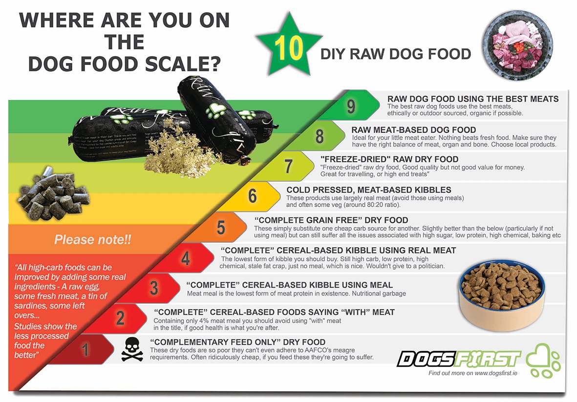 Where are you on the dog food scale?!
#DogsFirst #DogNutrition #DogFood #RawDogFood