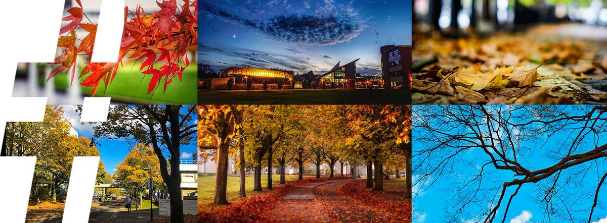 uniofwarwick's tweet image. 📸 The #WARWICKautumn photography competition is still running until Sunday 11th November! Grab your cameras and smartphones and share your #WARWICKautumn images and videos with us! ☂☔🌧🌦⛈🌩
 
 warwick.ac.uk/about/autumn