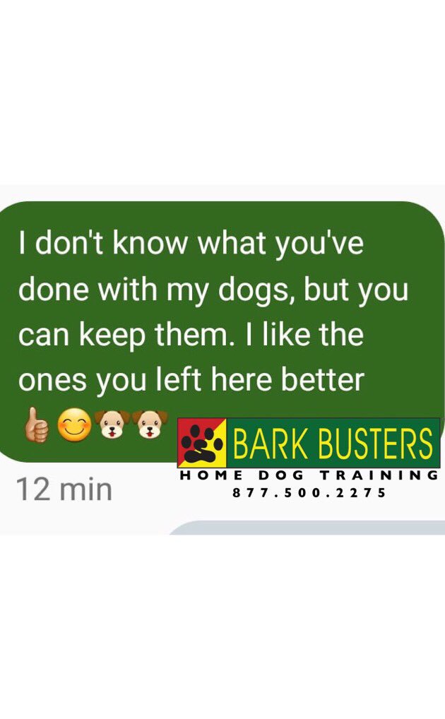 BarkBustersGA's tweet photo. It’s almost magic Find out for yourself (202) 505-1669 🐾 #BarkDC #dcdogtraining #dogtrainingdc #BarkBustersofWashingtonDC https://t.co/Hib4FTyllp