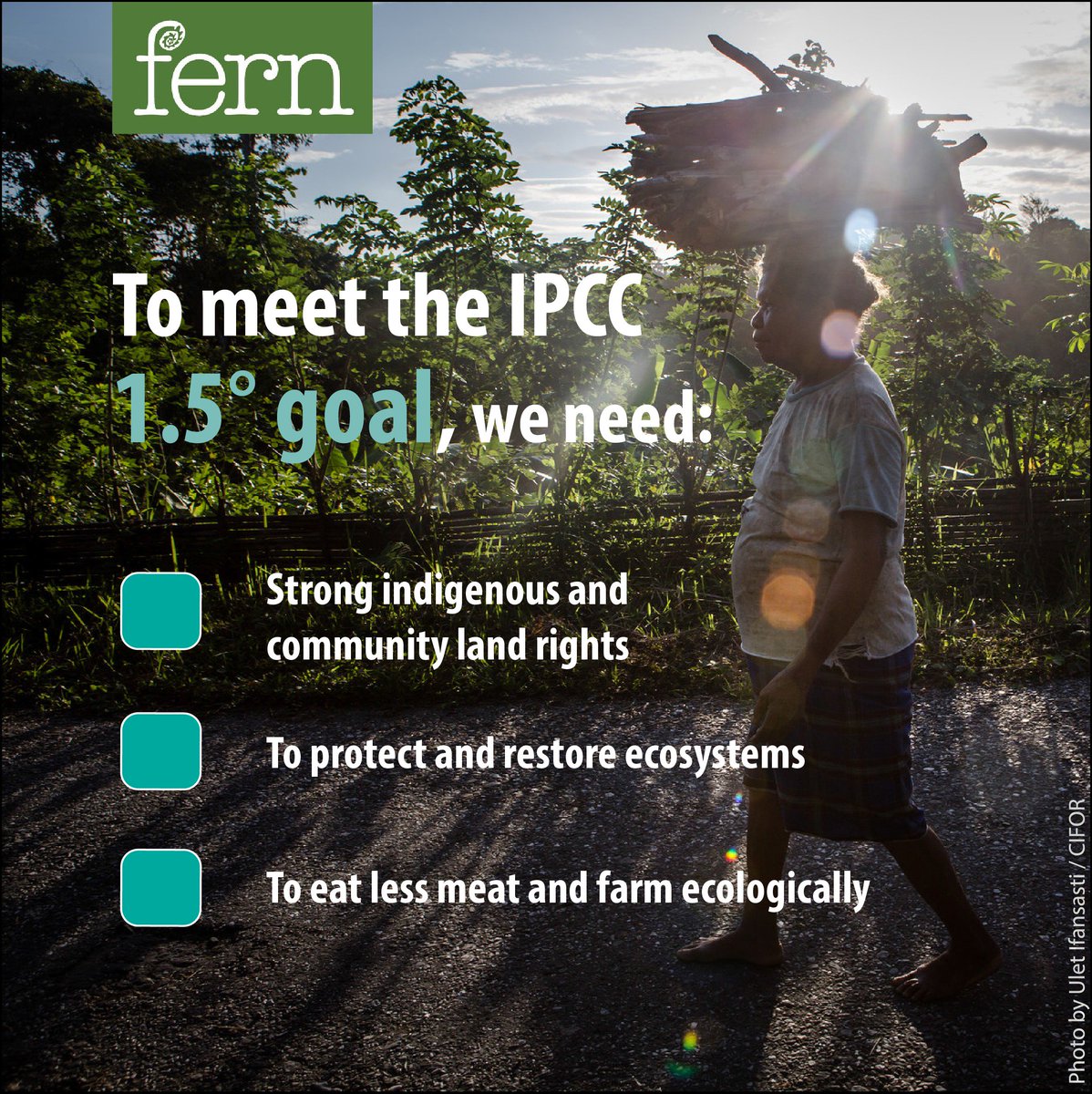 Fern_NGO's tweet image. CLARA #MissingPathways report echoes @IPCC_CH &amp;amp; shows how to meet the #1o5C goal without resorting to unproven geoengineering like #BECCS.
There are more benefits than you can fit in a tweet! Stronger land rights, better livelihoods, less forest fires... fern.org/MissingPathway….