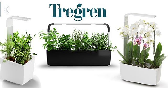 TregrenFrance's tweet photo. Tenter de gagner 7 potagers connectés à gagner en jouant avec le magazine Femme Actuelle du 15 octobre au 28 octobre minuit.
Bonne chance !
#tregren #femmeactuelle #potagerconnecté #potagerdintérieur 
Lien pour y participez : 
https://t.co/TK9FsndK5P https://t.co/TUA2TB17L7 https://t.co/M7gtS9sDav