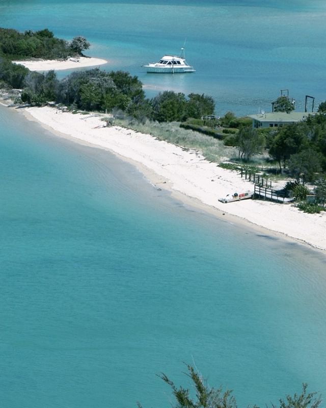 With Coaching 06年 ニュージーランド エイベル タスマン国立公園 06 Nz Abeltasman Emeraldgreen Sea ニュージーランド エイベルタズマン国立公園 エメラルドグリーン 海