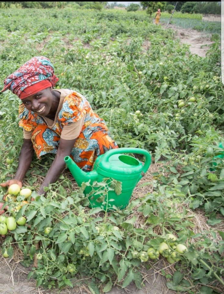 ChristaFarmBi's tweet photo. Happy international Day of #RuralWomen 
#Burundi They represent 55.2% of the workforce #EndPoverty #genderequality #farmers #agriculture https://t.co/X6DzEQfSfJ