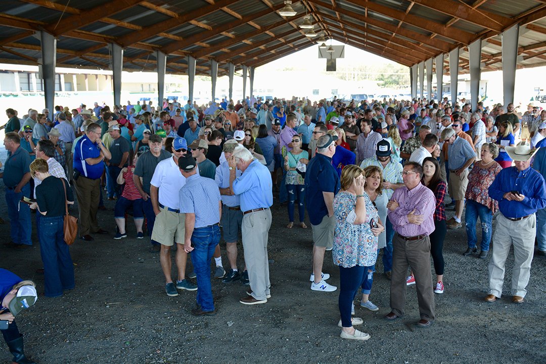 Farm Bureau on Twitter "Looking for Answers