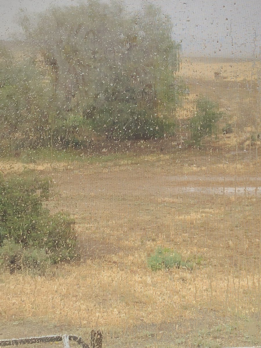 FlindersEdge's tweet photo. 5mm of rain yesterday and woke up to a dust storm this morning.. https://t.co/ZisCApVWC6
