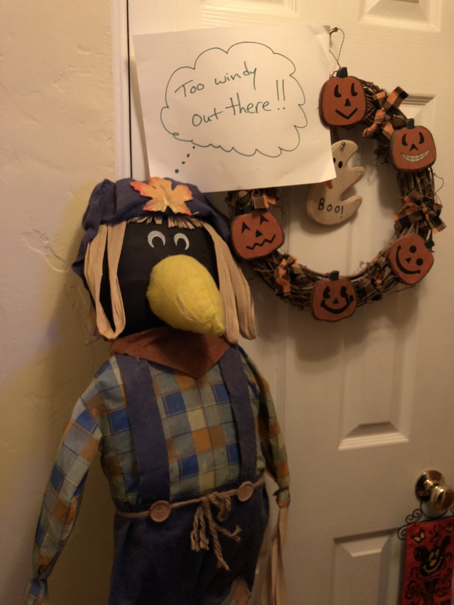 MarcoOnTheWeb's tweet photo. @abc7leslielopez Insane #wind gusts in #Pasadena. We had to bring in our scarecrow and Halloween decorations off the porch. 👻 And our patio umbrella in the backyard was about to launch. We took it down just in time! #windproblems #thatblows #upearly #needcoffee #happymonday https://t.co/Du3fBtwemn
