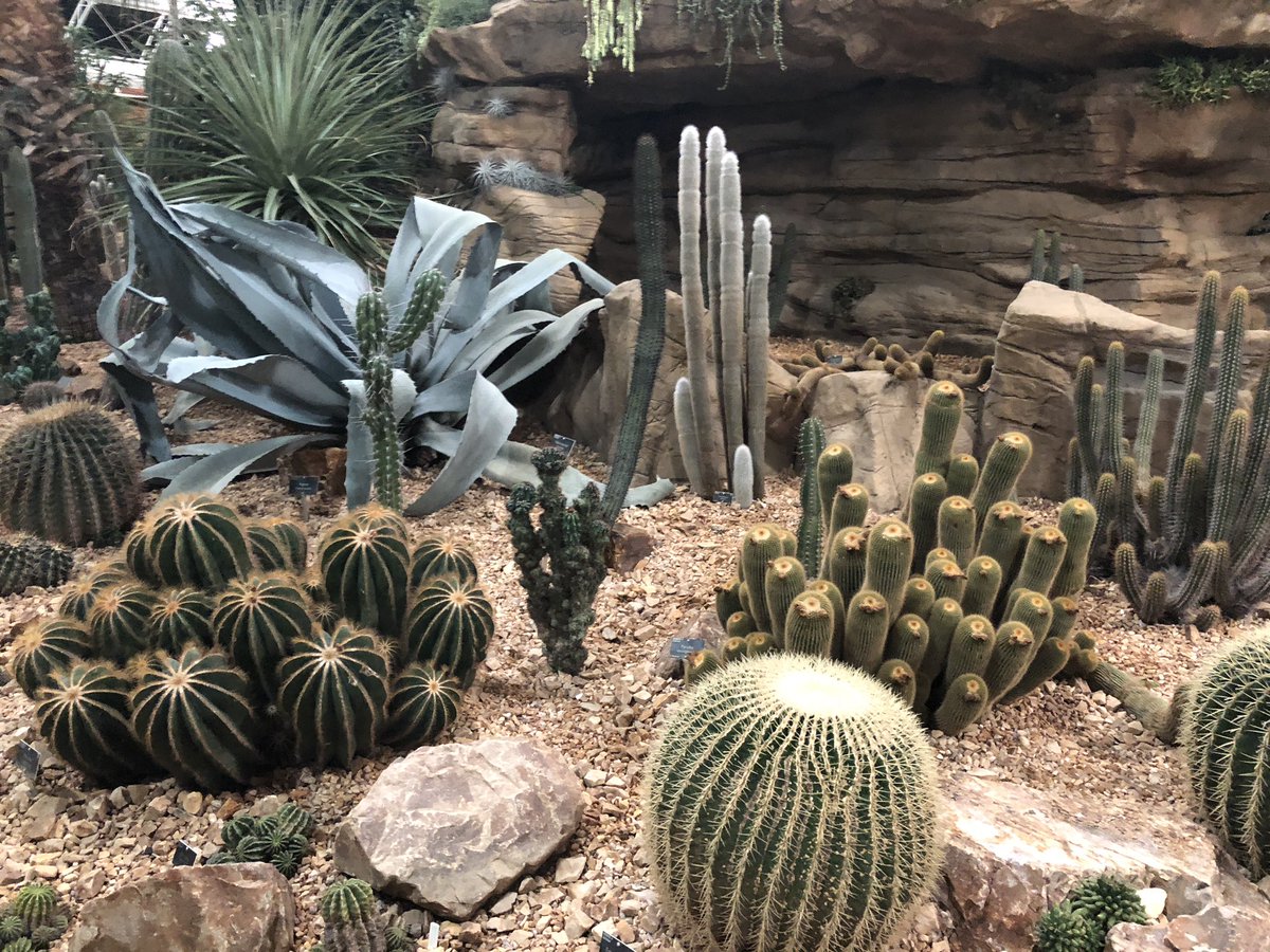 Berry Landscapes Ltd tweet media