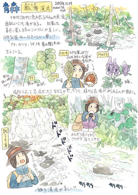 10月8～10日まで、親と青森に紅葉を見に行っていました～?一度訪れたところはだいたいまた行きたくなる? 