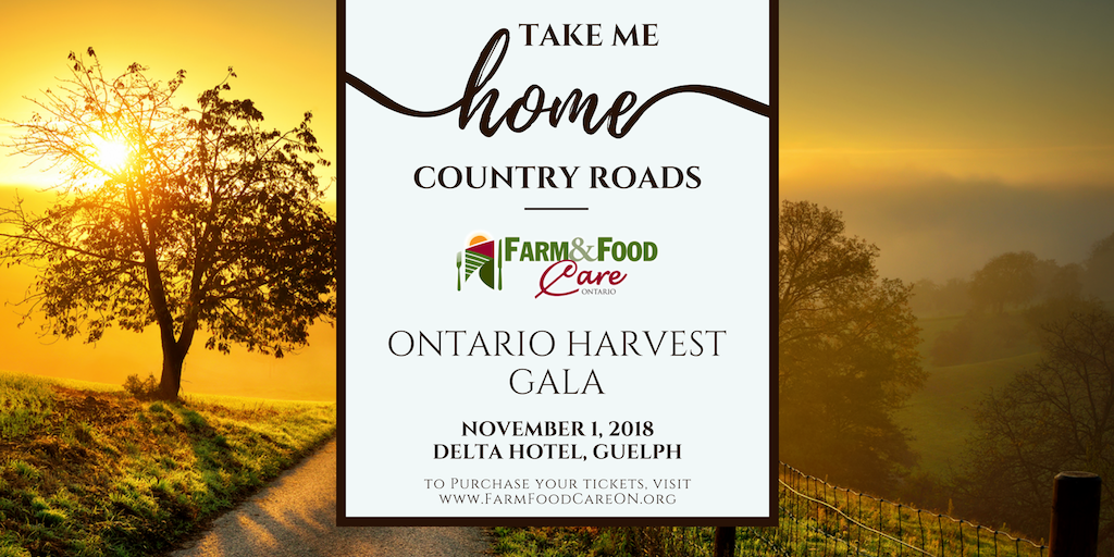 FarmFoodCareON's tweet photo. Individual and group tickets are still available for this year’s Ontario Harvest Gala taking place on Nov. 1st at the Delta Hotel in Guelph. Make sure to get your tickets before the Oct. 28 deadline https://t.co/77yk05DRG5 #FFC18 https://t.co/P22UEhJEiD
