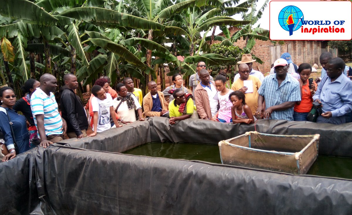 WOI_Publishers's tweet photo. The last study tour to Dr Naluyima's farm that WORLD OF INSPIRATION is organising this year is on Saturday 17th Nov. Book early. Contact us on: 0700714369 | 0774107287. https://t.co/lbVd74Gc3L