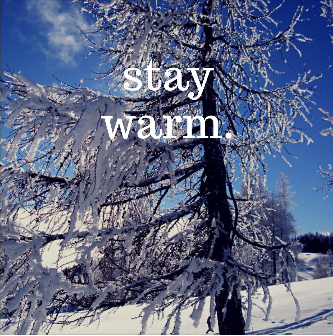 Hey Ganders,
Are you ready for the cold front this afternoon? We are! Just be sure to keep warm this afternoon! We are expecting to be in the 50’s and the 60’s! Although, we would like snow we can take the cold! 🥶<a href="/LeeJuniors_/">REL Class Of 2020</a>