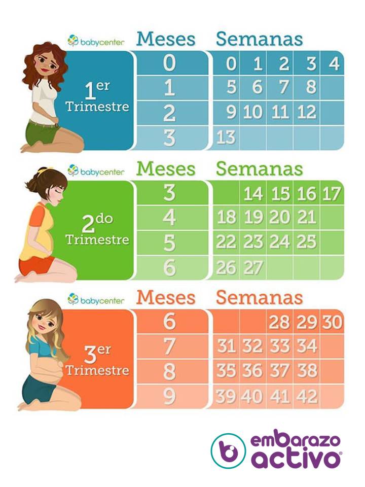 cuanto son 5 semanas de embarazo en meses