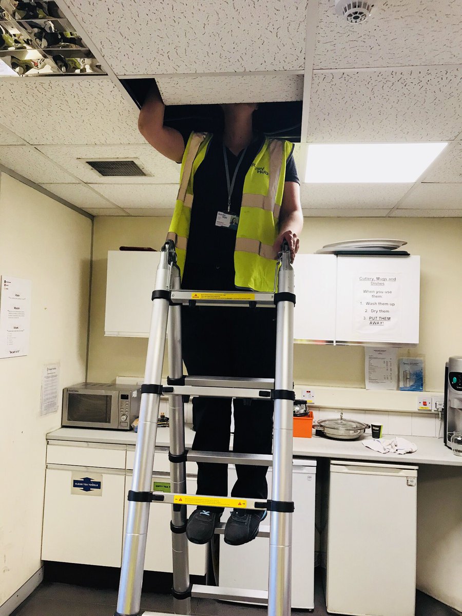 TheSurveyHub's tweet photo. Senior epc Assessor @SJGracie84 takes no prisoners when it comes to surveying! 

Trainee #Surveyor Rebecca is on hand, taking notes and headless photos 💪🏼🙈 #forthewin 

#surveylife #MondayMotivation #wheresyourheadat https://t.co/ziMsduvSrI