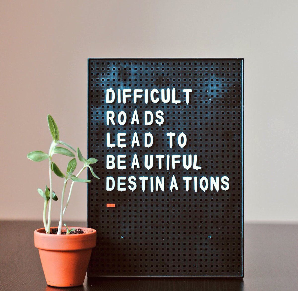 tengentlehill's tweet photo. Sometimes you will feel like giving up, but just remember...

#socialmediamarketing #socialmediamanager #smallbusinessforsmallbusinesses #ShareTheLove #tengentlehill 💜💙💚💛 https://t.co/HBA06ABNG0