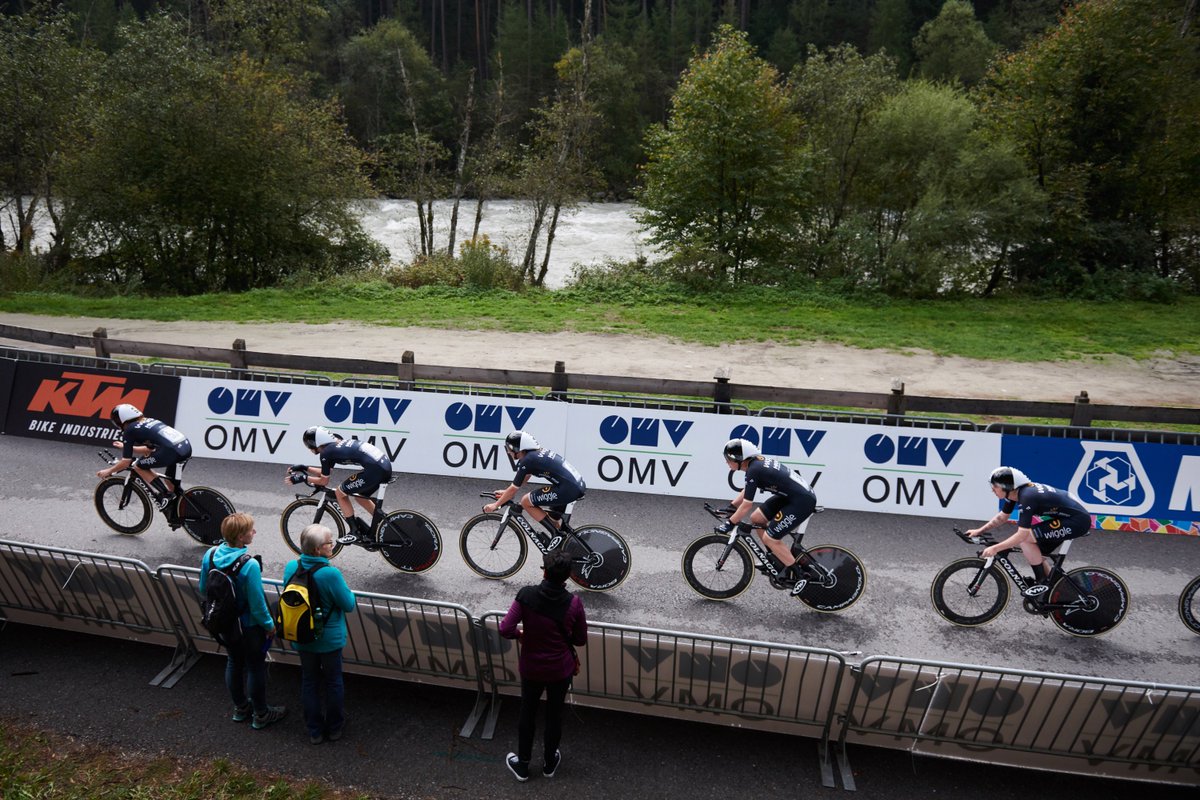 Wiggle High5 tweet media