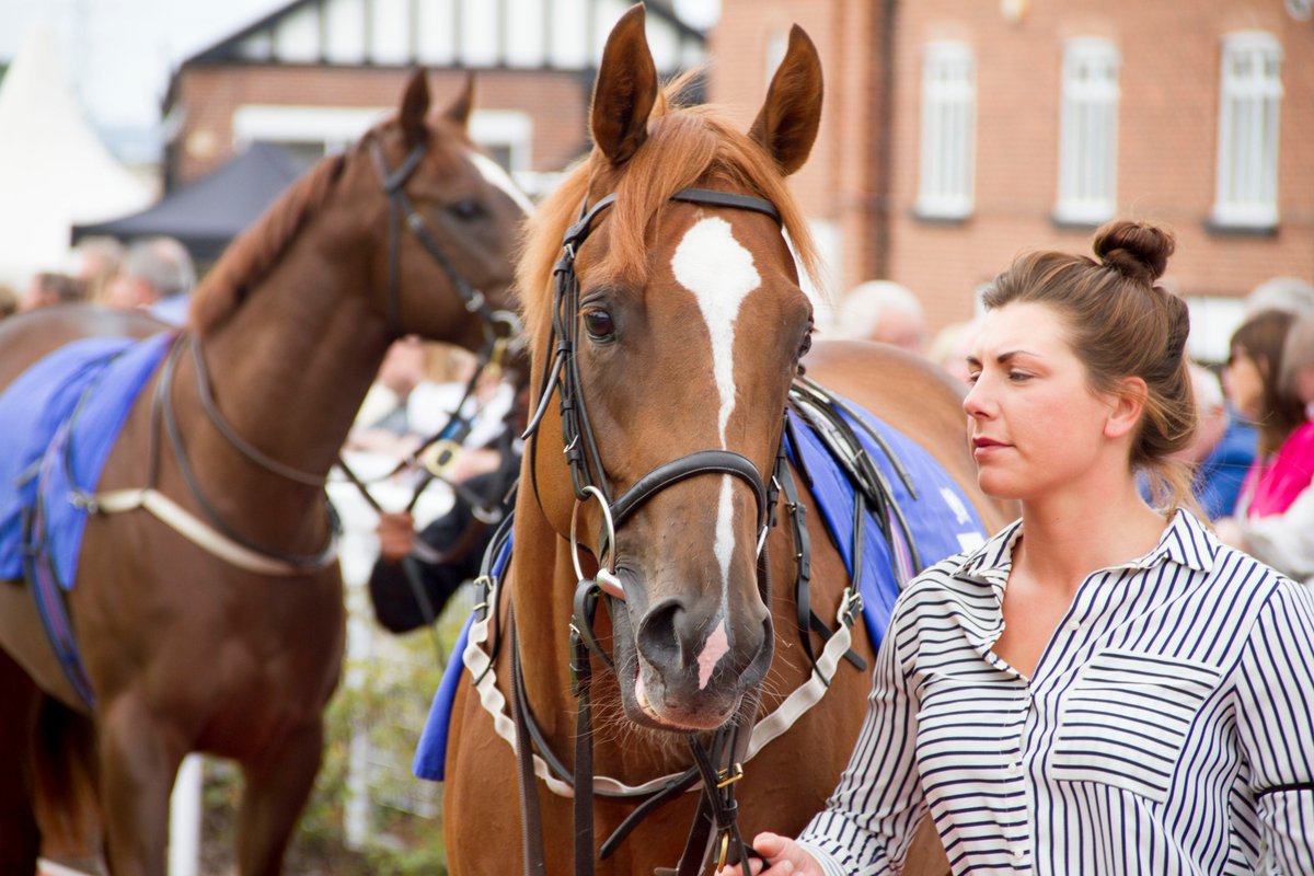 It's VIP Time! 🎉🏇
Like &amp; Retweet if you're excited about our Season Finale!

For your chance to win admission and a table for 2 in our Park Suite Restaurant on Monday 22nd October, comment your answer to the question in the image below!⬇️