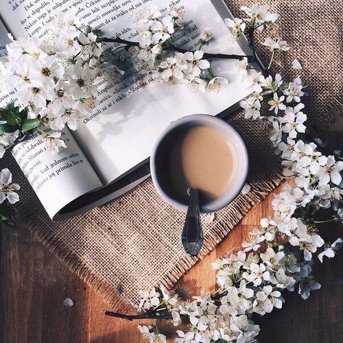 PhenomMeblog's tweet photo. Yes, I’ve Tried That https://t.co/mArho3QyGI https://t.co/gB3wzOf7M2