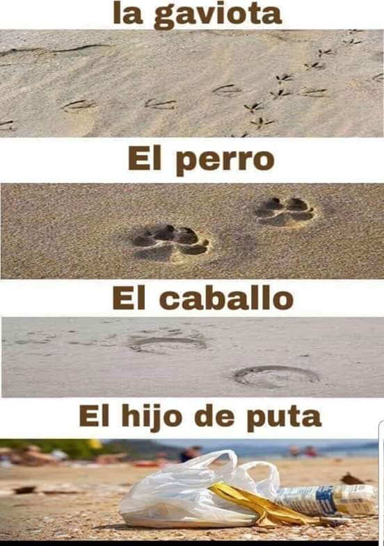 Mypaatsy's tweet photo. Cuidemos las playas , #SeaLimpio https://t.co/zTOMVC5Dge