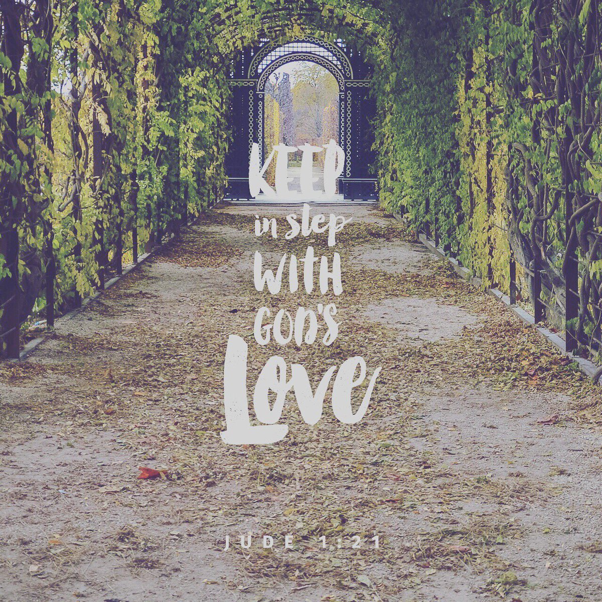 donmelv's tweet image. 