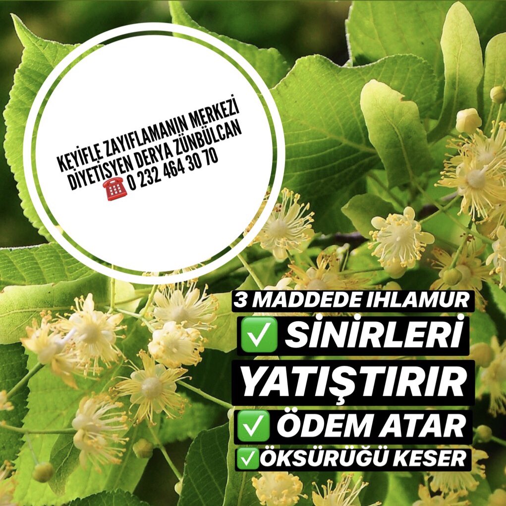 Havalar soğudu. Bitki çayı vakti geldi. Ben 21 Ekim saat 13.00’da #izmirteafest’de bitki çaylarının iyileştiren gücünü anlatacağım. Ve 21 Ekim’e kadar her gün bir bitki çayını üç maddede tanıtacağım. İlk püf IHLAMUR ✅  Hepsi ve daha fazlası için <a href="/izmirteafest/">İzmir Tea Festival</a> ‘te buluşalım 🙏🏻