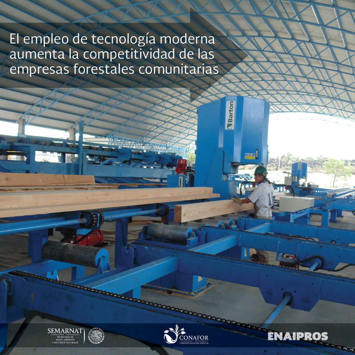 CONAFOR's tweet photo. #FelizLunes Con la estrategia #ENAIPROS impulsamos a las personas que habitan en #bosques, #selvas y #manglares para mejorar sus empresas y asociaciones productivas. La conservación de las zonas forestales debe ir en equilibrio con el aprovechamiento sustentable. 🌳👨🏽🌾✅ https://t.co/7LfgH21OY6