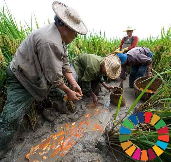 Global Goals tweet media