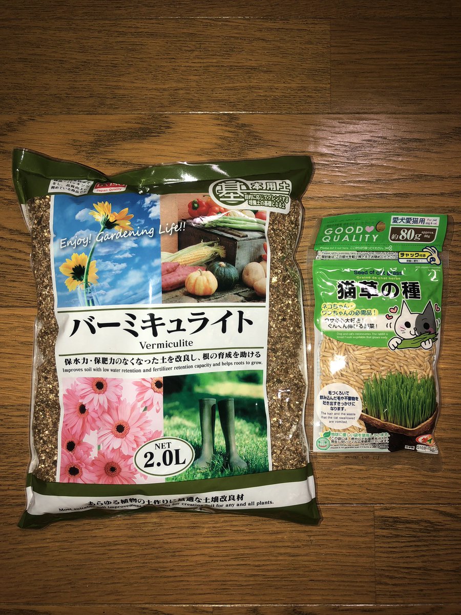 ミーコ ミーちゃん V Tvittere ダイソー で猫のおもちゃとくしと猫草の種と土とか色々買ったけど 安くて品が良い ミーコ ミーちゃん V Tvittere ダイソー で猫のおもちゃとくしと猫草の種と土とか色々買ったけど 安くて品が良い