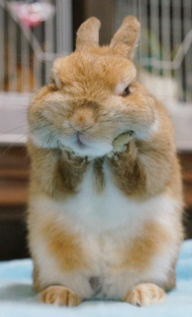 �������� � ��������� �������