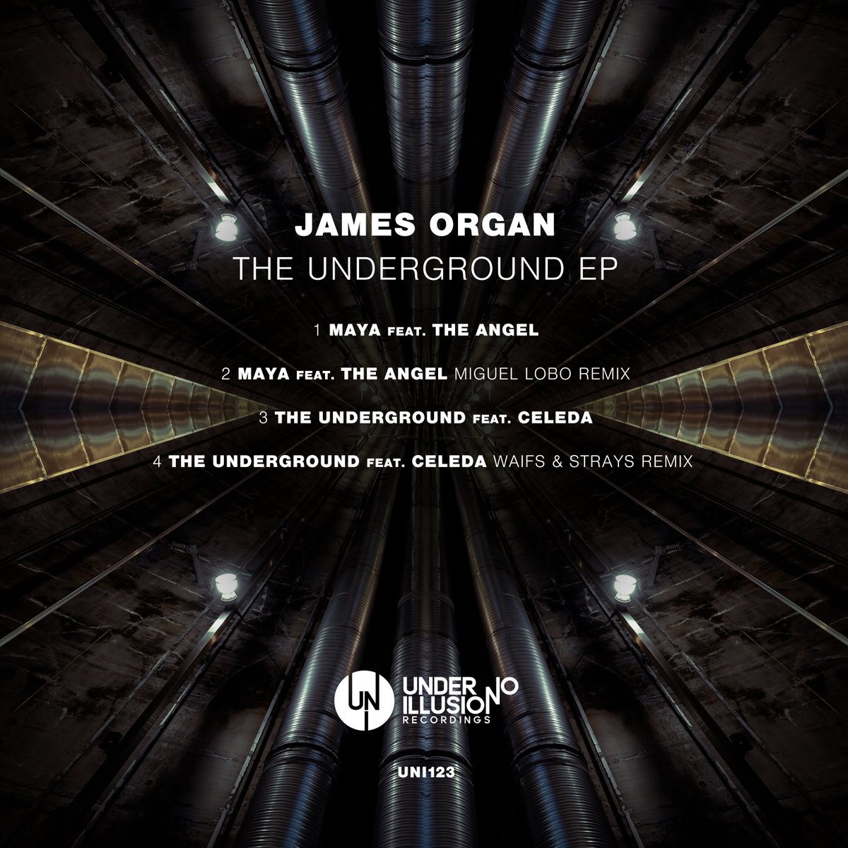 JAMES. ORGAN. ⚡️ tweet media