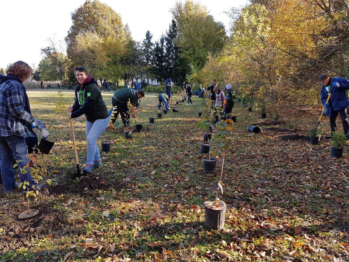 SouthNationCA's tweet photo. Big thanks to all our volunteers who helped plant 150 trees and shrubs at the Oschmann Forest in @northdundas on Sunday as part of the #TDTreeDays initiative! #TheReadyCommitment #TreePlanting #Ontario #OurLocalEnvironment https://t.co/eohJh9glyV