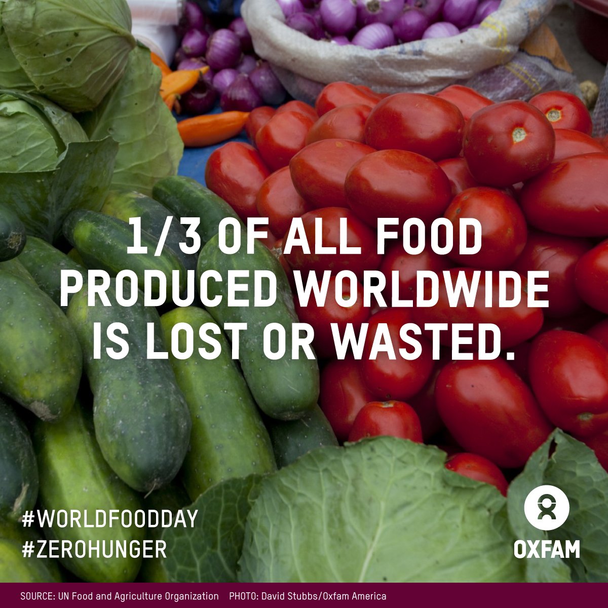 Oxfam America on Twitter "WorldFoodDay countdown Fact 1/3 of all