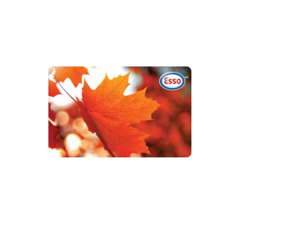StrideCapital's tweet photo. Only 16 days left to get you and a friend $100 gas card just for a simple referral! Let us help you and your friends get into the equipment you need
https://t.co/Y11I38V0gX https://t.co/WFF79vsg7U