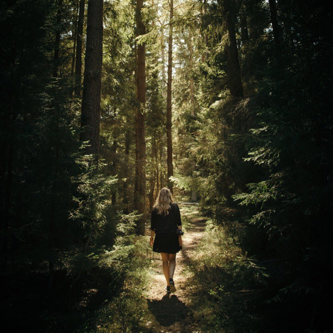 DrNicki's tweet photo. It’s stunning how often fear leads the way. As if it’s the most important feeling we have. It’s not. Move forward in the face of your fear... #drnicki #drnickimonti #motivationalquotes #perseverancequotes #inspirationalquotes #fearless #couragequotes https://t.co/RaKe7j9zSs
