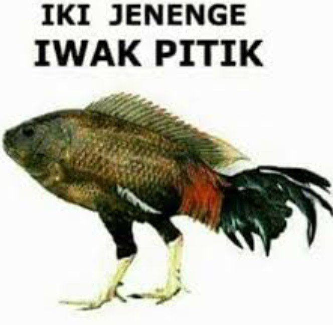 F Agus Budiman (@fagusbudiman) on Twitter photo 