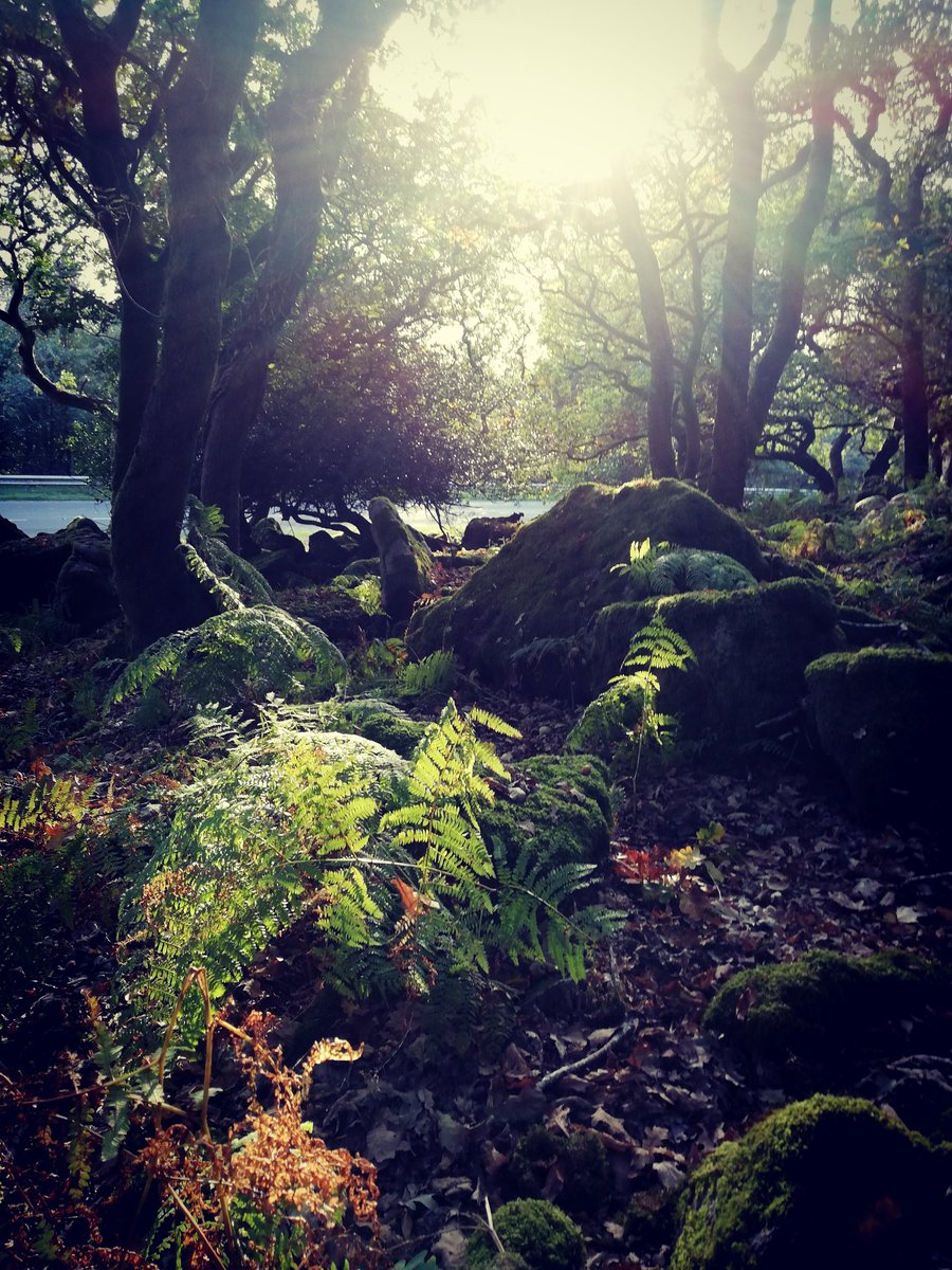 juliemckenz's tweet photo. #inspo taking pics of stock #wotter #dartmoor makes beautiful backdrops ha #artist #beautifulspiritualgifts #mckenziesmagickalgrovefb #plymouth based travels through #cornwall #tintagel #cleaneating gall 😉🌈 https://t.co/zVpl6iWQ7R