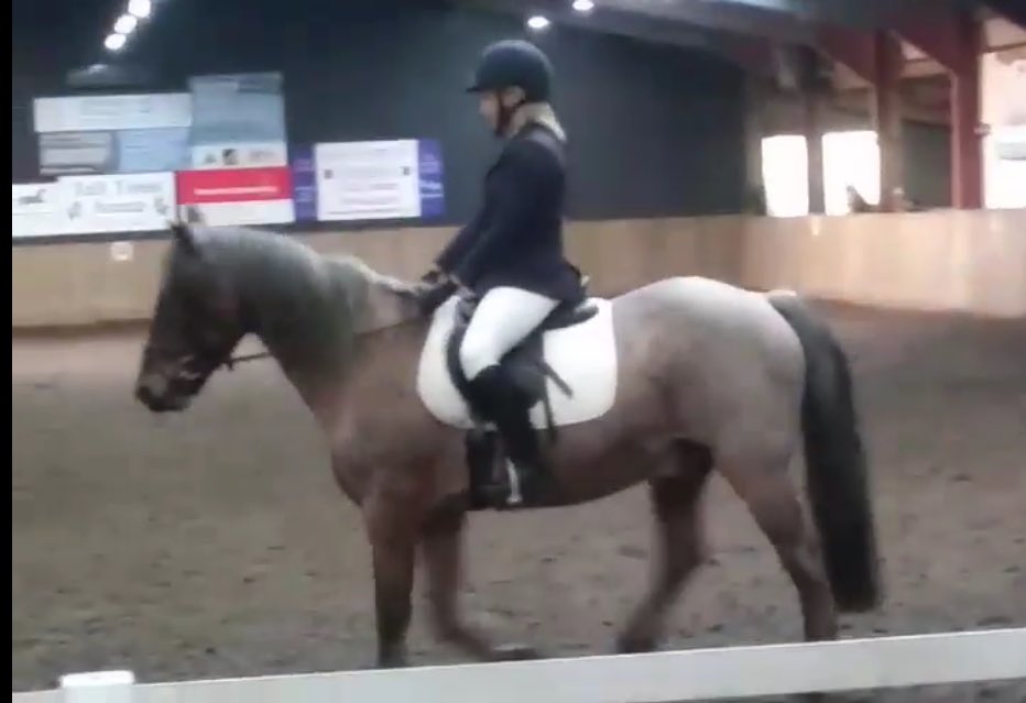 belindawaldock's tweet image. We did it ! After a last minute invite we did our first #dressage test this weekend. Find our starting point! We surprised ourselves and scored 64%!! We won our class but only 2 in it!! lots to do to improve but a great start! #baselinedata #mvp #tdd #agile #equestrian #ci