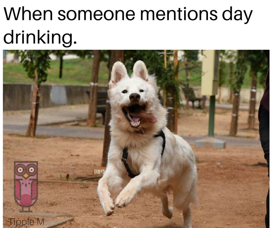 tipplemapp's tweet photo. Tag a friend who needs to join you for a day drinking session ! #tagafriend #TippleM #Drinkatbar #drinkinlondon #nightout #beer #cocktails https://t.co/NRMWnZyZsz