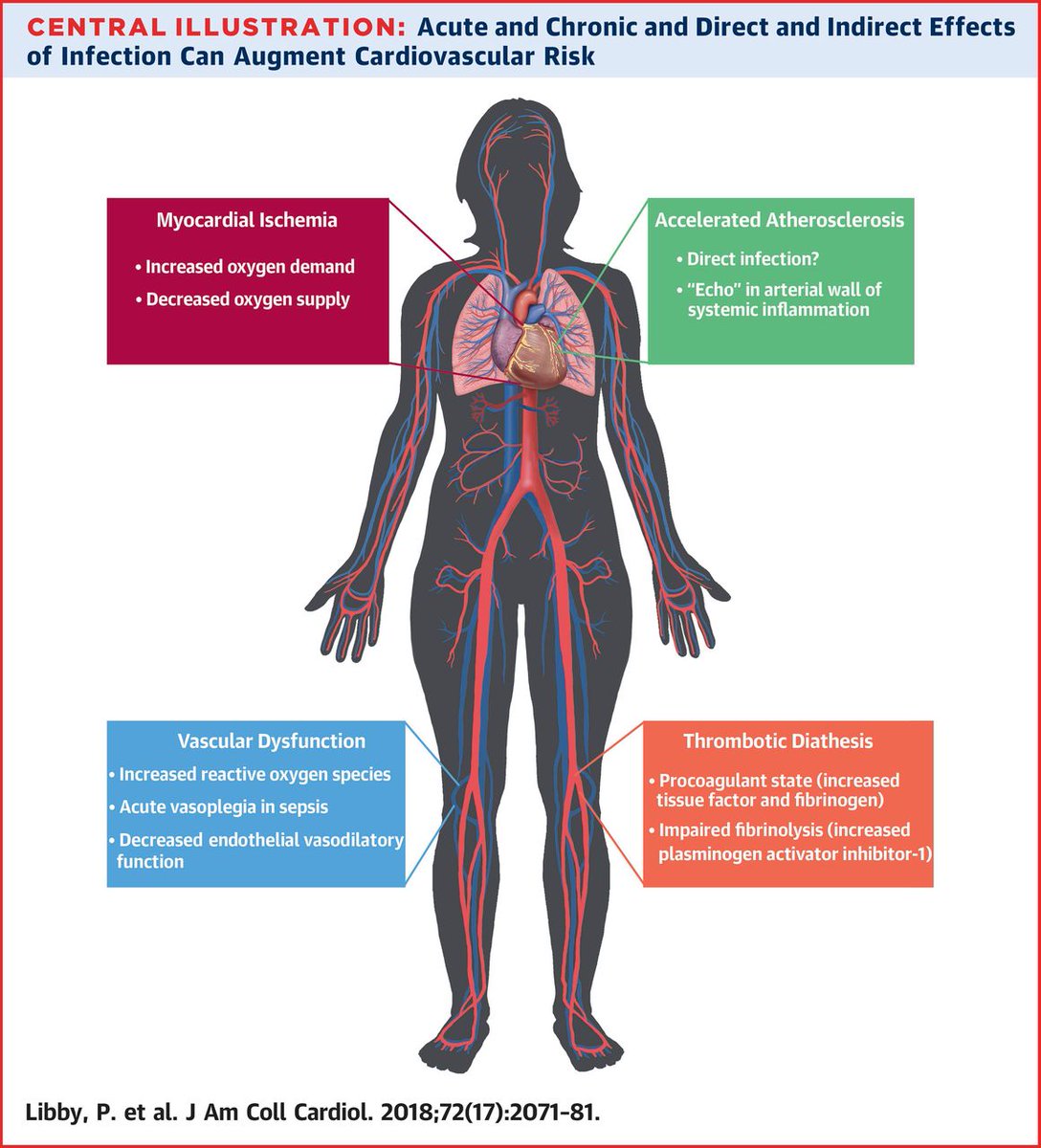JACC Journals (@jaccjournals) on Twitter photo Infections, inflammation, immunity: How do they affect atherosclerosis? ow.ly/HNwf30mf4bU #JACC <a href="/BrighamWomens/">Brigham and Women's Hospital</a> Infections, inflammation, immunity: How do they affect atherosclerosis? ow.ly/HNwf30mf4bU #JACC <a href="/BrighamWomens/">Brigham and Women's Hospital</a>