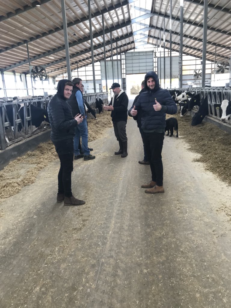 No rip off milk powders, calves reared in pairs weaned 25kgs heavier, pre fresh heifers like this at 22months - 50 litres herd average. There is absolutely no reason we can’t do this #noBST #nomoreexcuses