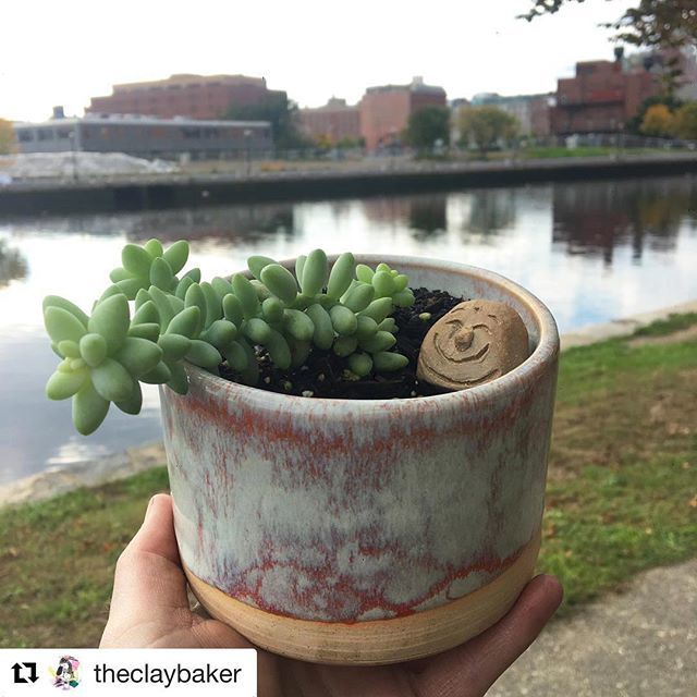 ProvidenceFlea's tweet photo. The Flea #succs on Sunday. (What could make you happier than succs with a built-in #happyface ? You need this!) #getoutandflea https://t.co/MzK9Nr6xlv https://t.co/6HoQinflyQ