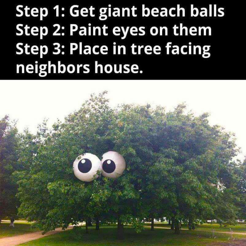 Ideas for Halloween...
#GooglyEyes #Trees #TreesHaveEyes #Halloween #Neighbors #NeighborhoodFun