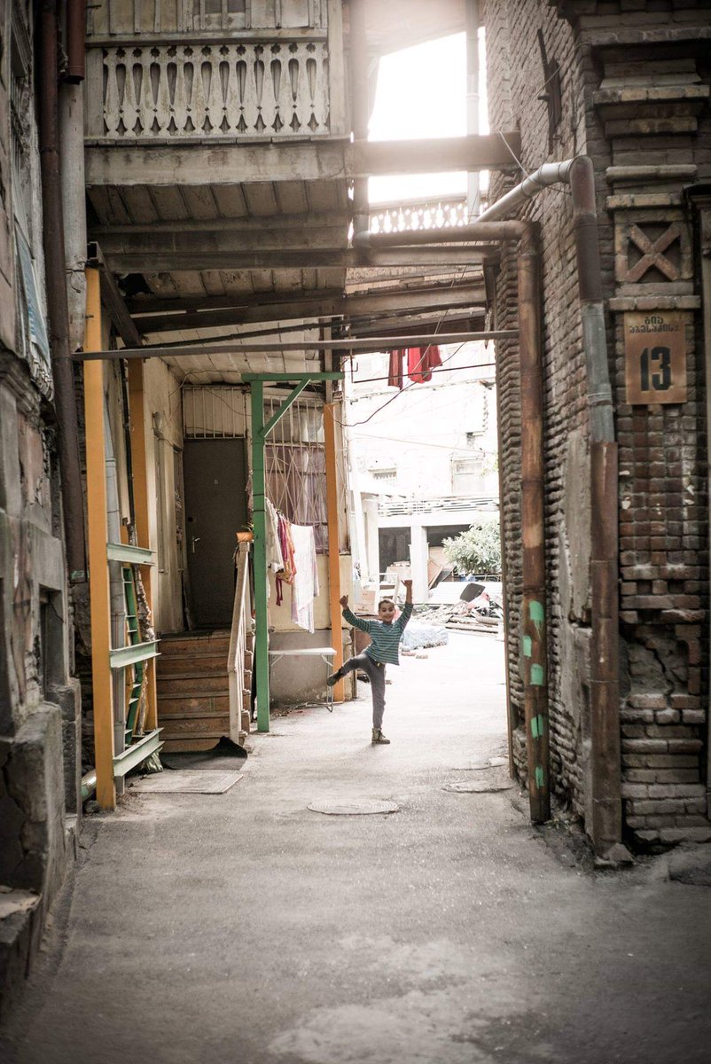 dbgul's tweet photo. Saba, messing around in the yard, Sololaki https://t.co/rAUCrWlW6k