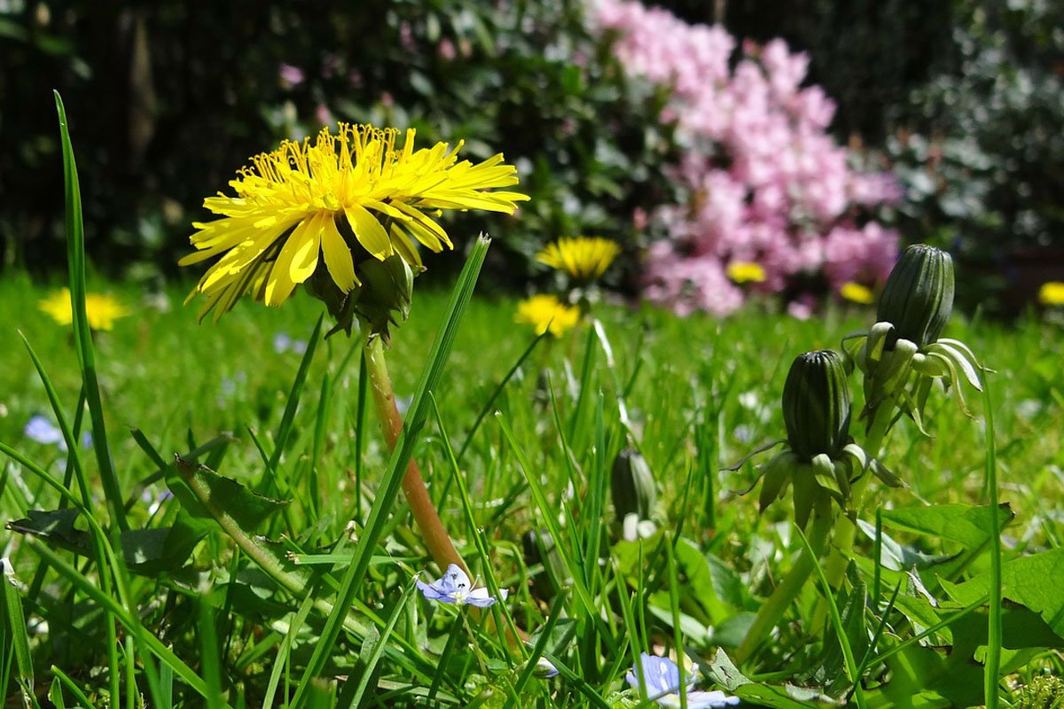 wohnungstipps's tweet photo. Outdoorteppiche für Garten und Terrasse https://t.co/CcRaE9SsQI #Garten #Outdoorteppich #Outdoorteppiche https://t.co/NHPe56t6wD