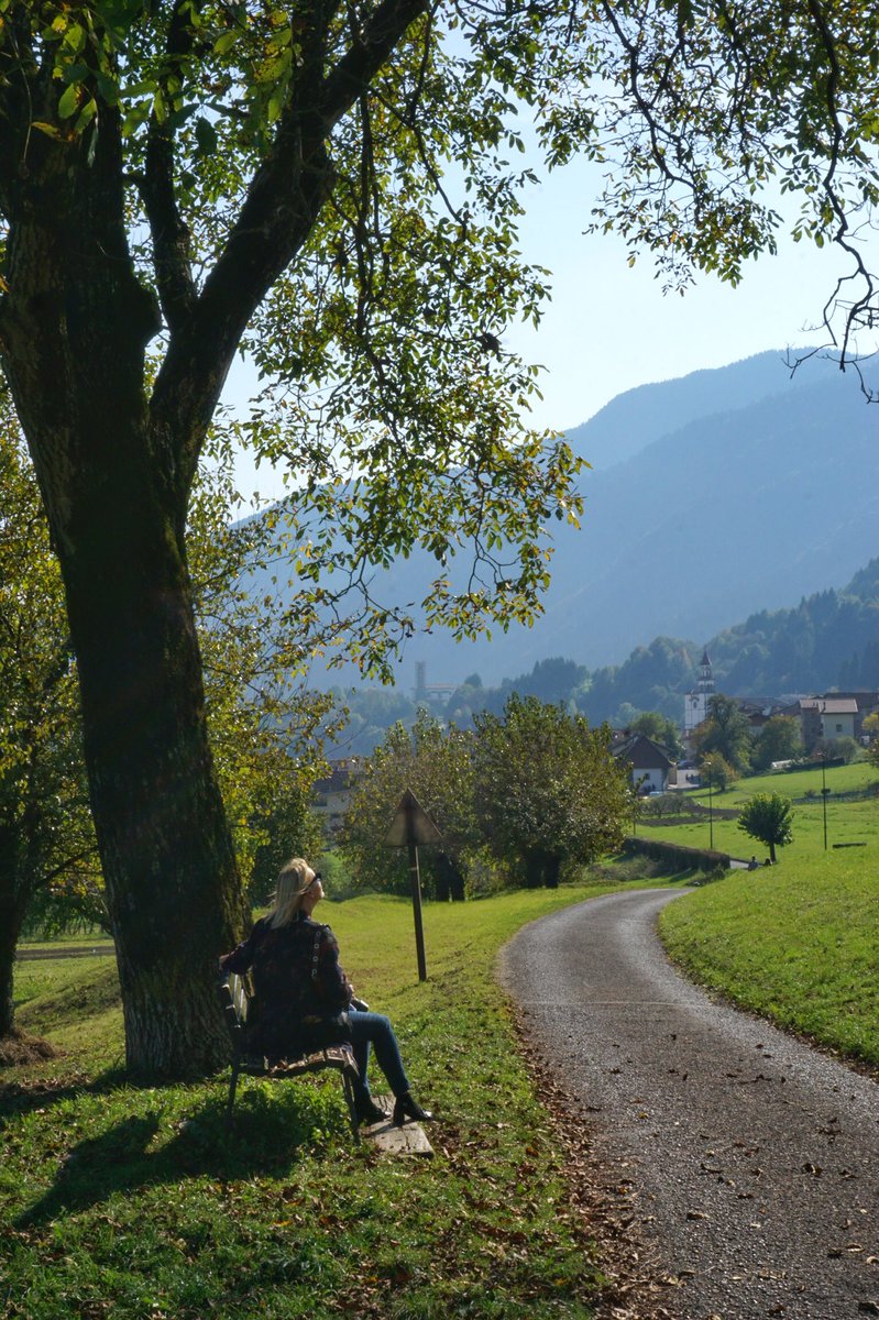nensico's tweet photo. Una splendida giornata di inizio autunno, il borgo di #Sutrio tirato a lucido, 6 mulini e birrifici del #FriuliVeneziaGiulia e tante prelibatezze: questo è #FarinediFlor #carnia #zoncolan #gastronomia #sutrioinfesta #lovesutrio 
https://t.co/q48JGE5ArP https://t.co/uXIUGE9zwZ